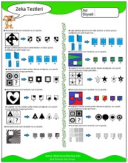 Zeka Gelişim Testleri